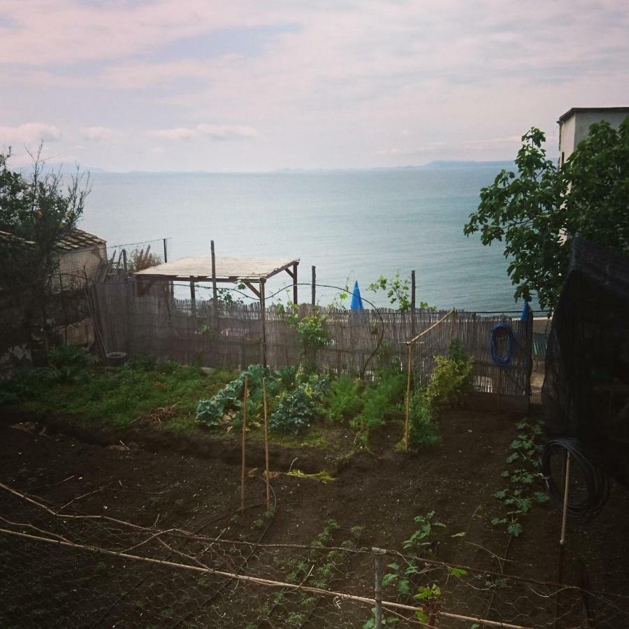 B&B Relax 메타 외부 사진